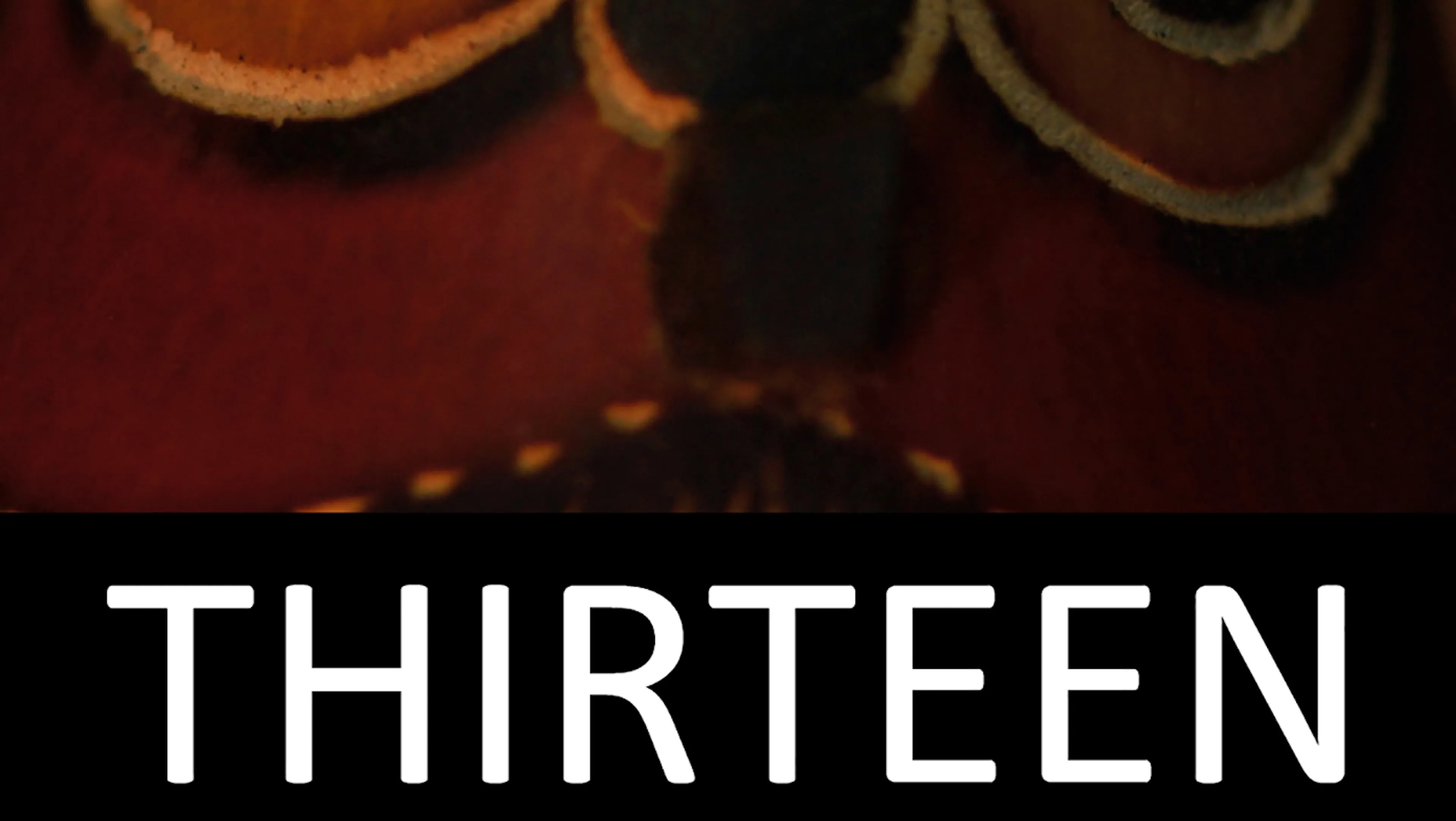 Thirteen poster